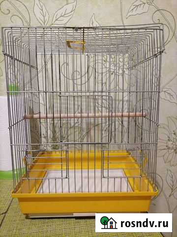 Клетка Тольятти - изображение 1