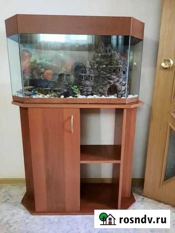 Аквариум с тумбой Красные Баррикады - изображение 1