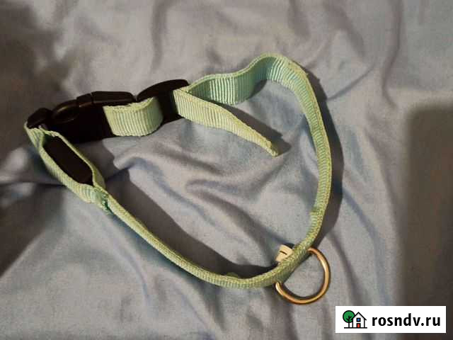 Ошейник светящийся Набережные Челны - изображение 1