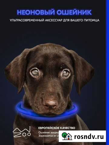 Ошейник для собак с подсветкой Владимир - изображение 1