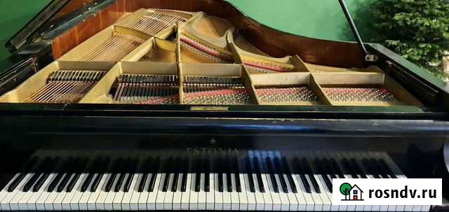 Рояль концертный Estonia Санкт-Петербург - изображение 1