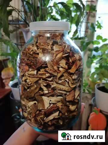 Грибы белые сушеные Петрозаводск - изображение 1