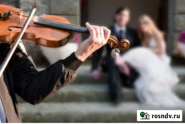 Скрипка на торжество Екатеринбург - изображение 1
