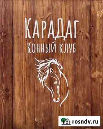 Конный клуб Красноярск