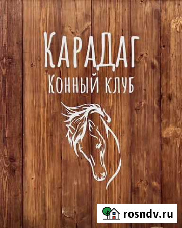 Конный клуб Красноярск - изображение 1