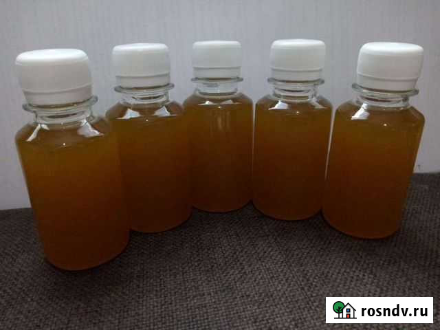 Живица еловая. Терпентиновый бальзам Великий Новгород - изображение 1