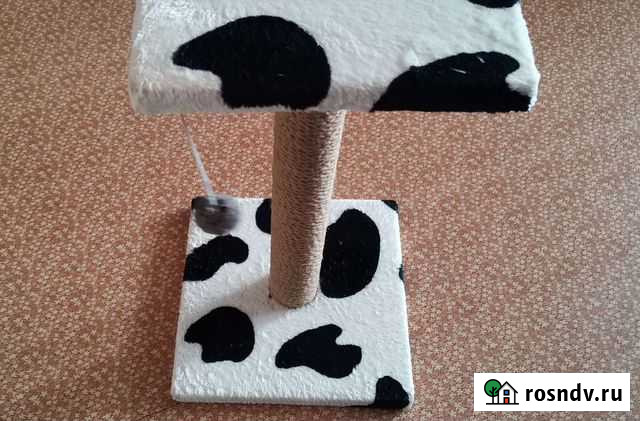 Когтеточка Спасск-Дальний - изображение 1