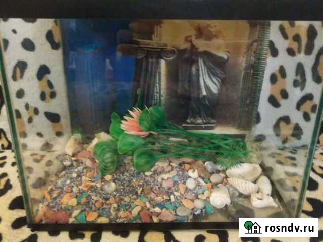 Аквариум Челябинск - изображение 1