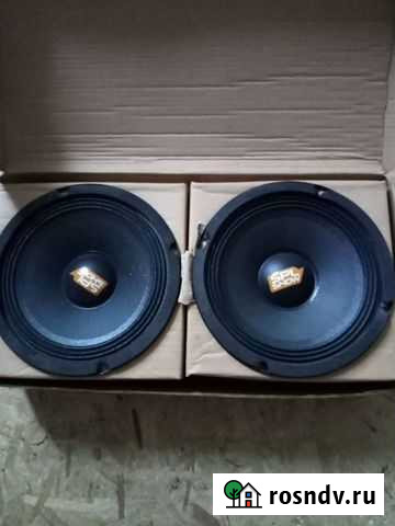 Динамики Белокуриха - изображение 1