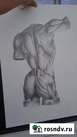 Работы по Академическому рисунку Краснодар - изображение 1