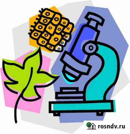 Репетитор по биологии Нижневартовск