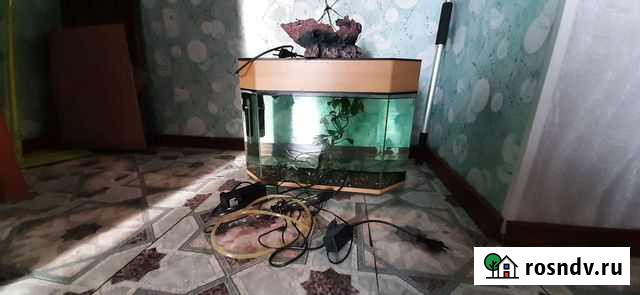 Аквариум Абакан - изображение 1