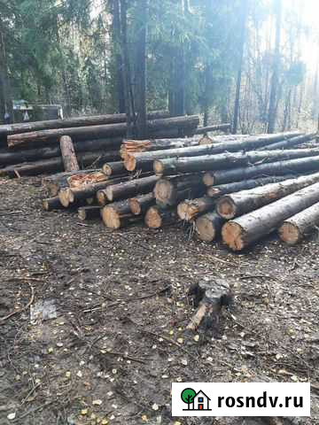 Лес на корню, делянки Владимир - изображение 1