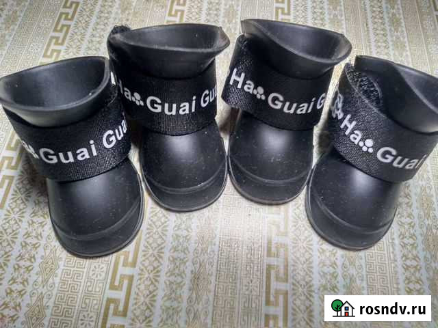 Обувь для животных Заволжье - изображение 1