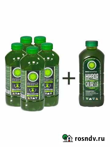 Реабилитация домашних животных от болезни, деток Пермь - изображение 1