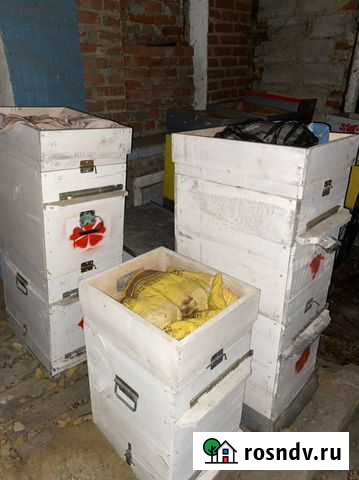 Улей Томаровка - изображение 1