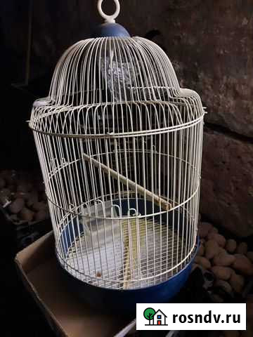 Клетка Сосногорск - изображение 1