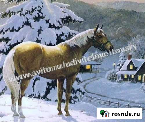 Картины по номерам Ангарск - изображение 1