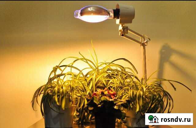 Фито лампа Волоколамск - изображение 1