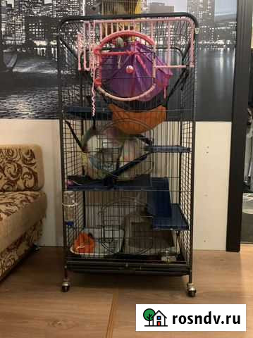 Клетка Дзержинск - изображение 1