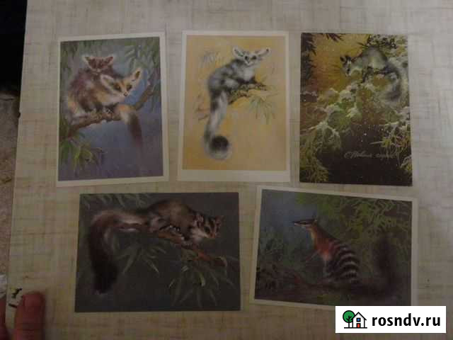 Открытки Исаков, Зарубин Санкт-Петербург - изображение 1