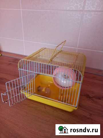 Клетка для грызунов Кузнецк - изображение 1