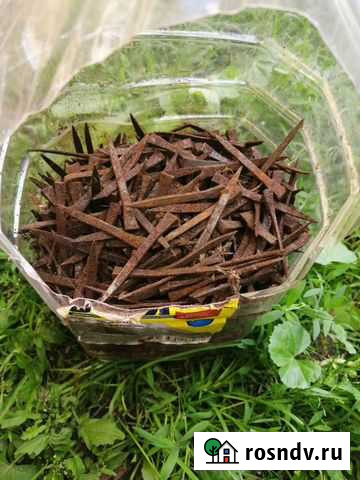 Гвозди для подковы Никольск - изображение 1