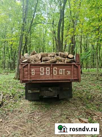 Дрова Короча - изображение 1