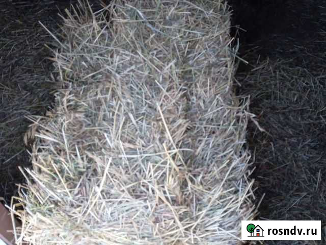 Сено Новомосковск - изображение 1
