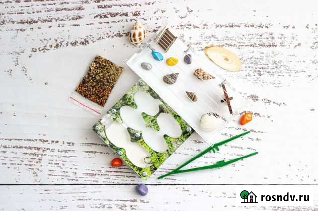 Муравьиная ферма (муравьи в подарок) Воронеж - изображение 1