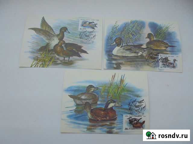 Фауна Утки картмаксимум 3 карт Гознак 1991 г Рязань - изображение 1