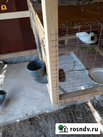 Кормушка для кроликов, птицы на заказ Калуга - изображение 1