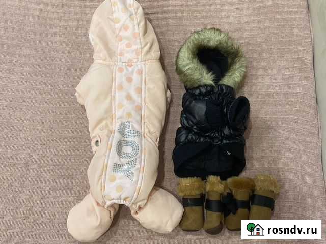 Одежда для собак Пермь - изображение 1