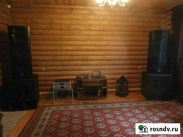 Комплект концертной клубной аппаратуры Удельная - изображение 1