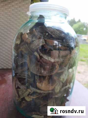 Подосиновик чистый, сушеный Петрозаводск - изображение 1