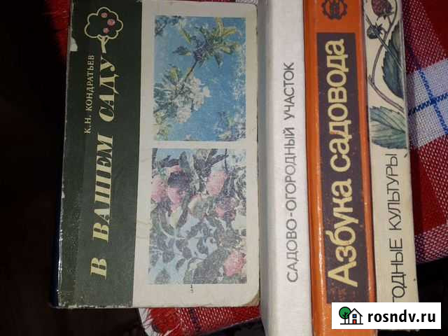 Книга Пенза - изображение 1