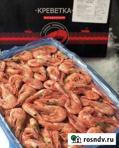Креветка Магаданская 5кг Красноярск - изображение 1