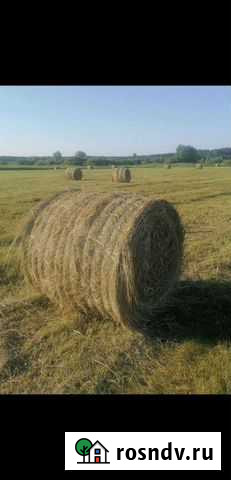 Сено в тюках Зубова Поляна - изображение 1