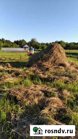 Сено Казань - изображение 1