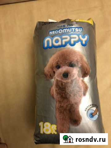 Памперсы для животных Саратов - изображение 1