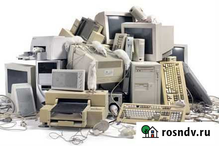 Вывезем и утилизируем Полевской - изображение 1