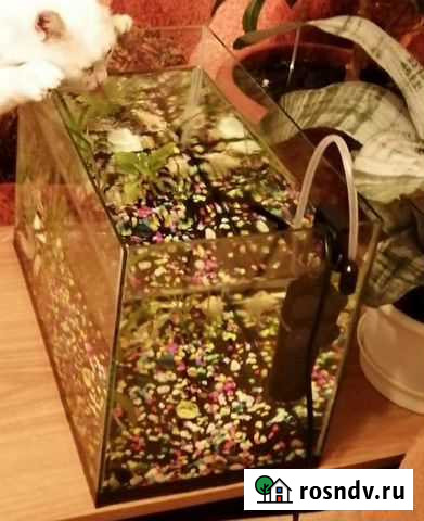 Аквариум Йошкар-Ола - изображение 1