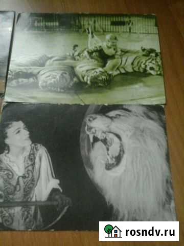 Цирк на Цветном бульваре Киров - изображение 1