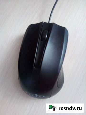 Мышь Саранск - изображение 1