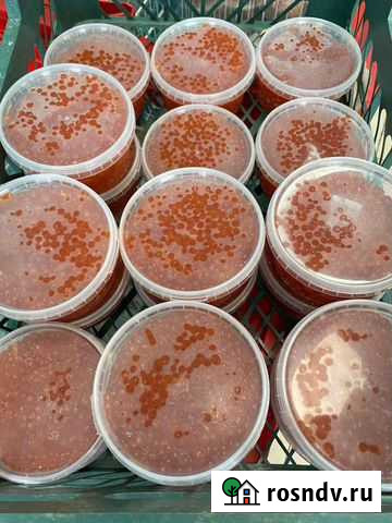 Икра кеты, чавычи Дмитров - изображение 1