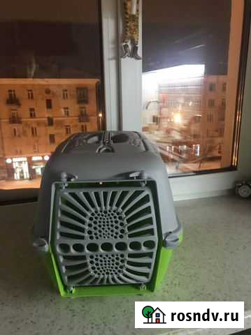 Переноска для кошек и собак Пермь - изображение 1