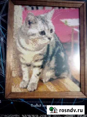 Картина Котик.Алмазная мозаика Пермь - изображение 1