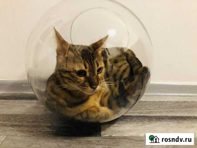 Советский аквариум 1984-86 года Мурманск - изображение 1