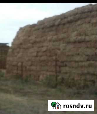 Солома ячменная в тюках Нечаевка - изображение 1