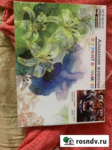 Новая алмазная мозайка Бийск - изображение 1